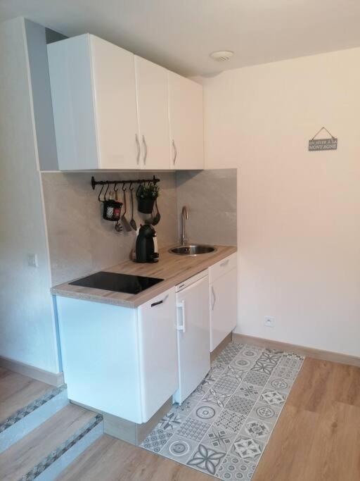 Location Appartement T2 38 M2 2 Chambres Allevard Eksteriør bilde